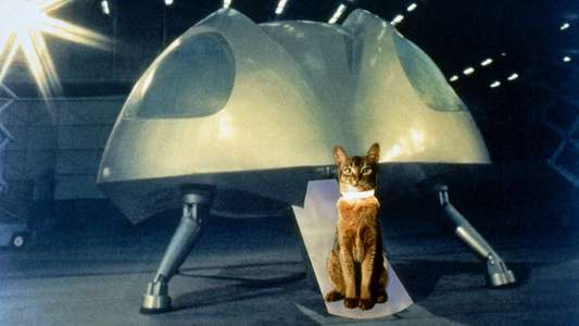 The Cat from Outer Space - Backdrop