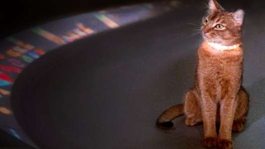 The Cat from Outer Space - Backdrop