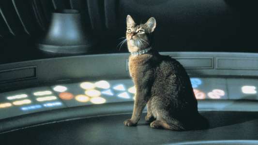 The Cat from Outer Space - Backdrop