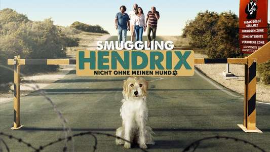 Smuggling Hendrix - Backdrop