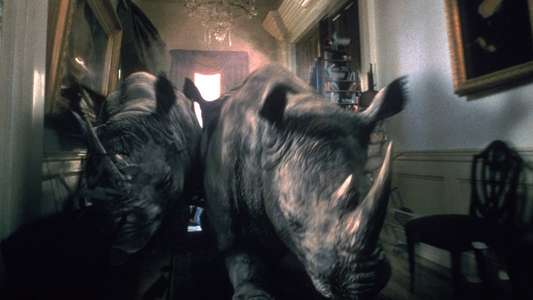 Jumanji - Backdrops