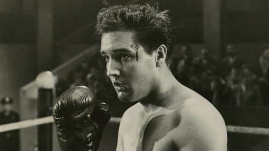 Kid Galahad - Backdrop