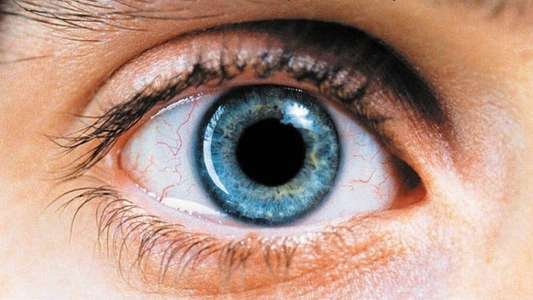 Requiem for a Dream - Backdrop