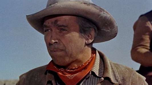 The Man from Laramie - Backdrop
