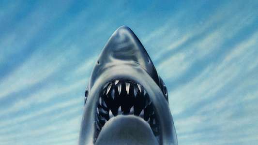 Jaws 3-D - Backdrop