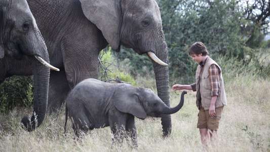 Phoenix Wilder and the Great Elephant Adventure - Backdrop