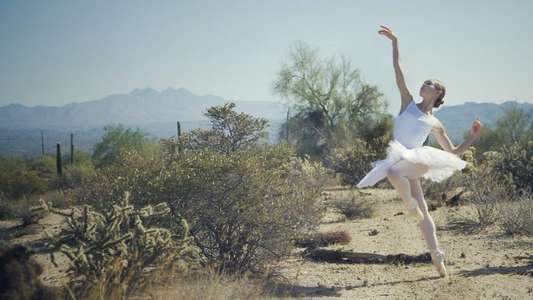 On Pointe - Backdrops