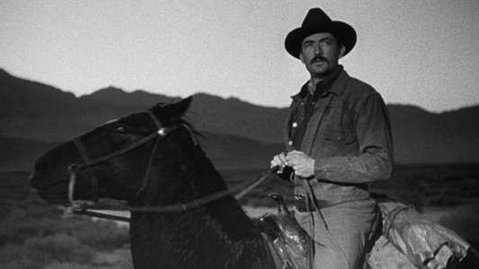 The Gunfighter - Backdrop
