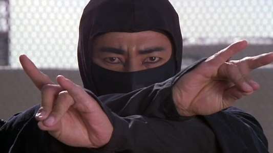 Revenge of the Ninja - Backdrop