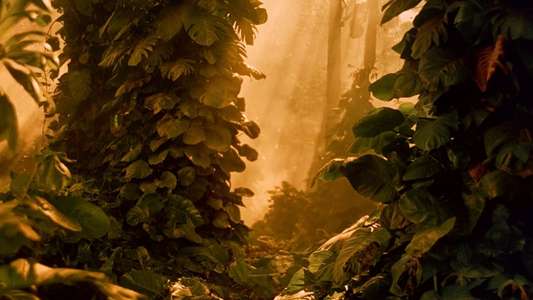 South Pacific - Backdrop
