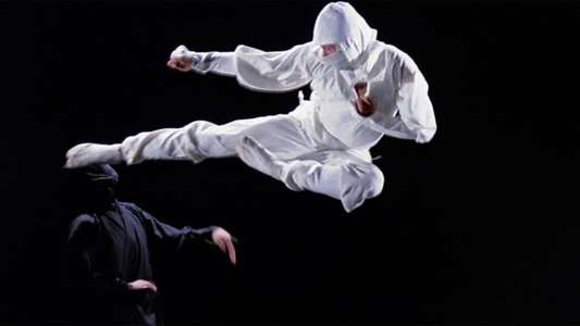 Enter the Ninja - Backdrop