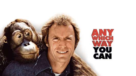 Any Which Way You Can - Backdrop