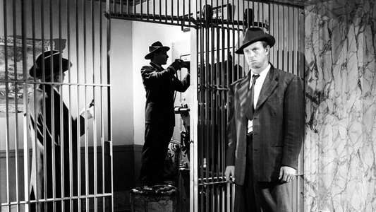 The Asphalt Jungle - Backdrop