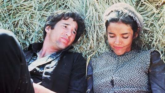 Days of Heaven - Backdrop