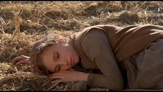 Days of Heaven - Backdrop