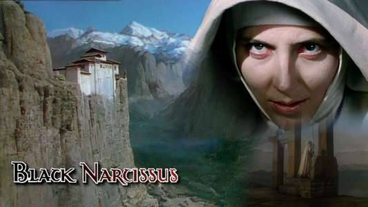 Black Narcissus - Backdrop