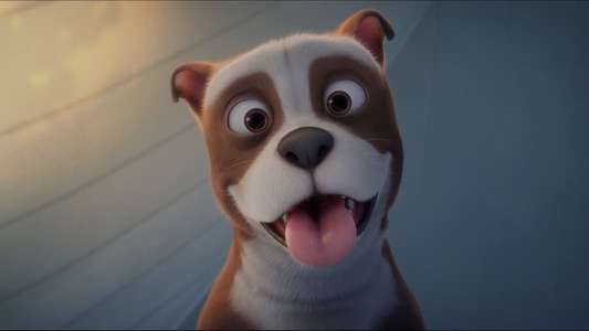 Sgt. Stubby: An American Hero - Backdrop