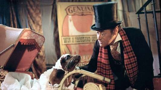 Doctor Dolittle - Backdrop