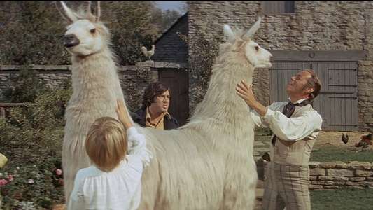 Doctor Dolittle - Backdrop