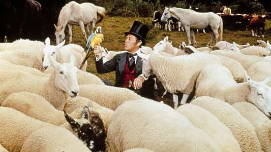 Doctor Dolittle - Backdrop