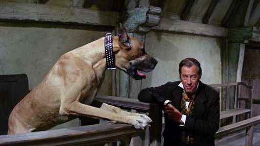Doctor Dolittle - Backdrop