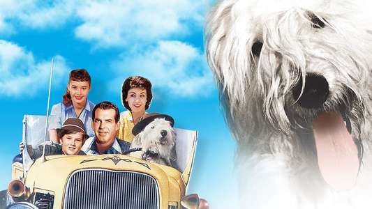 The Shaggy Dog - Backdrops