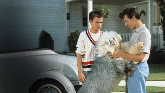 The Shaggy Dog - Backdrops