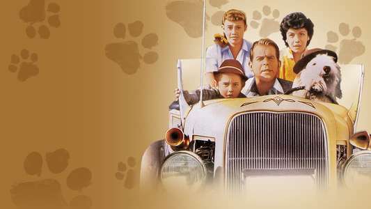 The Shaggy Dog - Backdrops