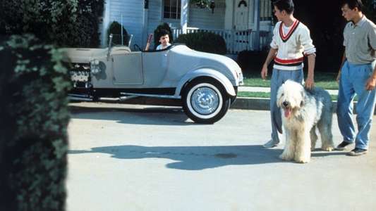 The Shaggy Dog - Backdrops