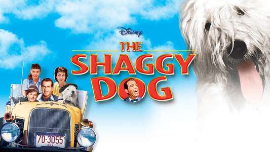 The Shaggy Dog - Backdrops