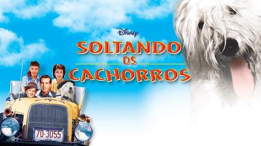 The Shaggy Dog - Backdrops