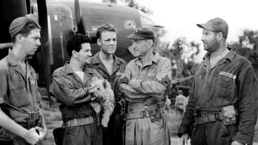 Air Force - Backdrops