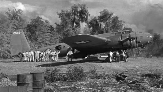 Air Force - Backdrops