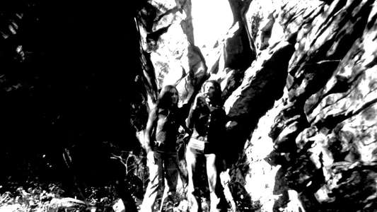 The Last House on the Left - Backdrop