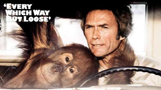 Every Which Way but Loose - Backdrop