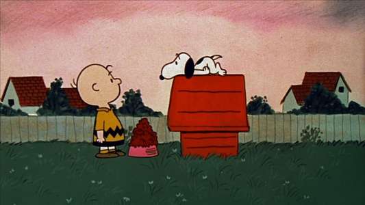 A Boy Named Charlie Brown - Backdrop