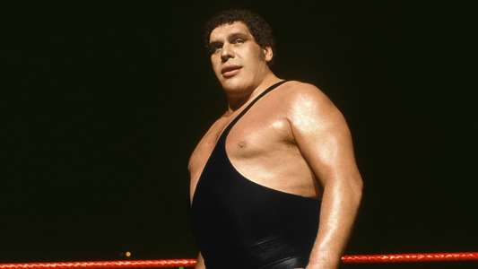 Andre the Giant - Backdrop