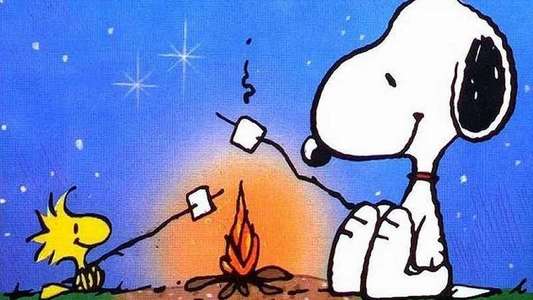 Snoopy  Come Home - Backdrop