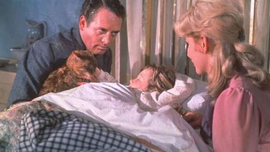 The Three Lives of Thomasina - Backdrops