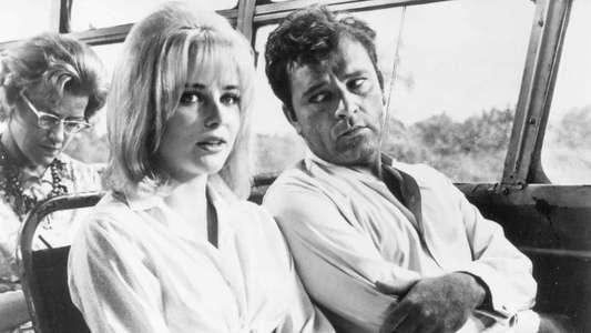 The Night of the Iguana - Backdrop