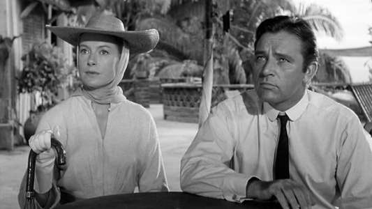 The Night of the Iguana - Backdrop