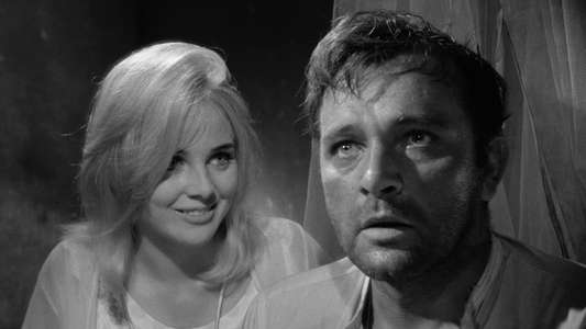 The Night of the Iguana - Backdrop