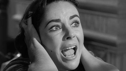 Suddenly  Last Summer - Backdrop