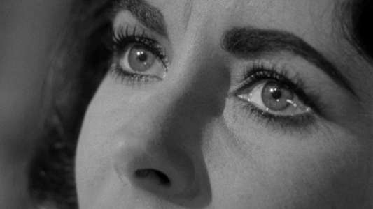 Suddenly  Last Summer - Backdrop
