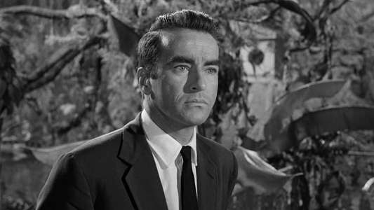 Suddenly  Last Summer - Backdrop