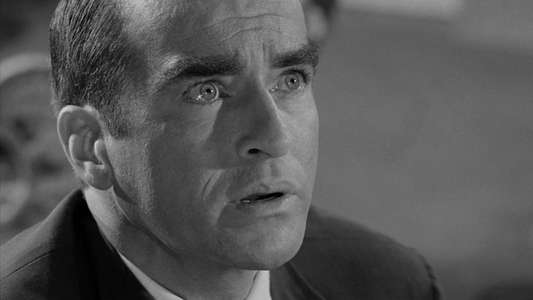 Suddenly  Last Summer - Backdrop