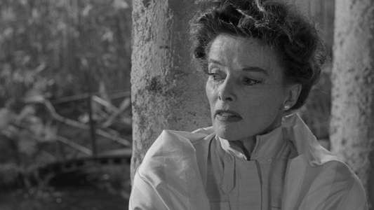 Suddenly  Last Summer - Backdrop