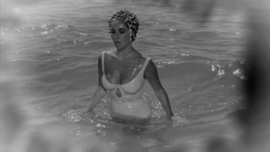 Suddenly  Last Summer - Backdrop