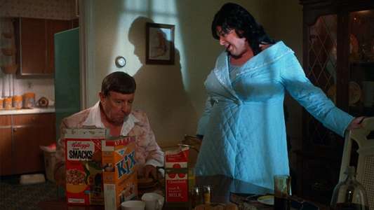 Polyester - Backdrop