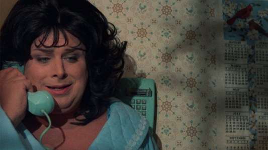 Polyester - Backdrop